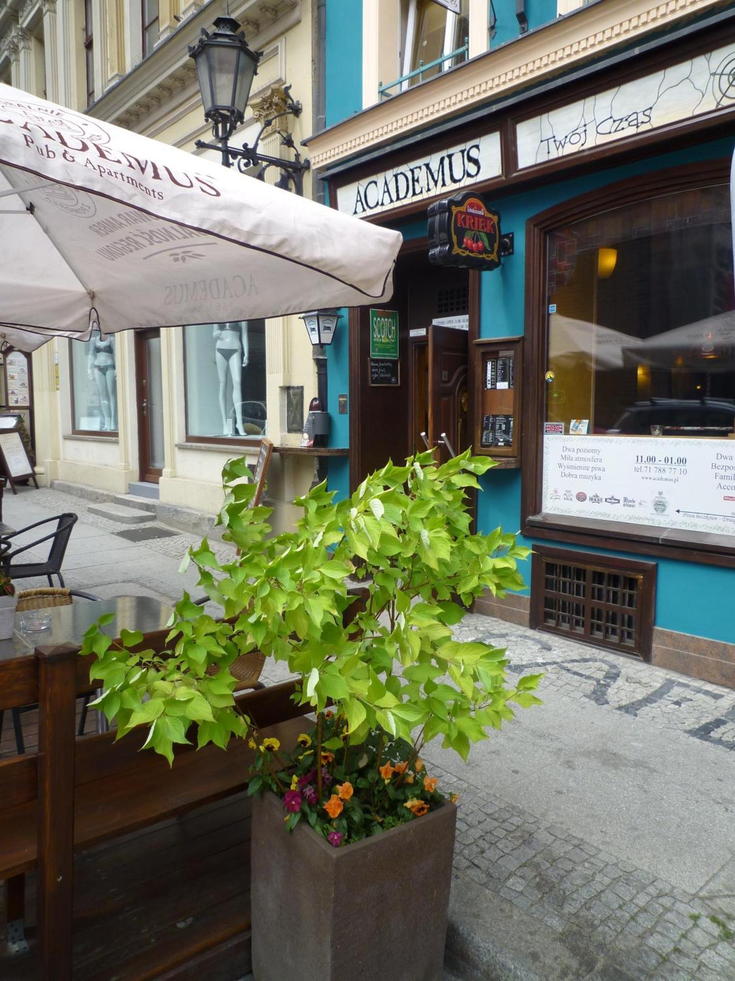 Academus Pub & Guest House Wrocław Exteriör bild